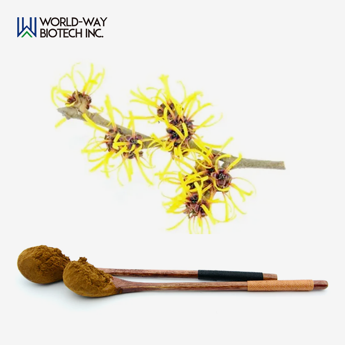 Witch Hazel Extract Witch Hazel Extract